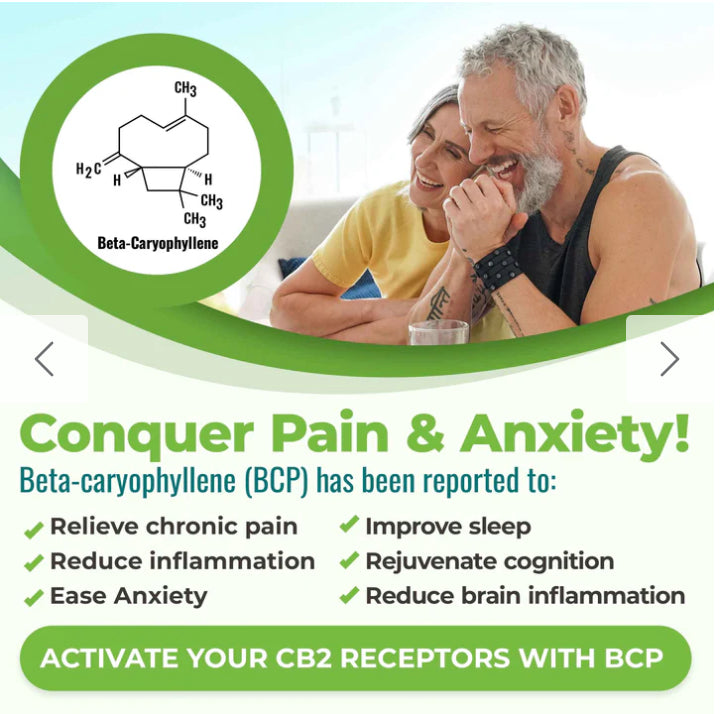 Cannanda CB2 Hemp Seed Oil Softgels - Lighten Up Shop