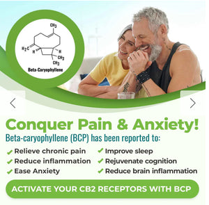 Cannanda CB2 Hemp Seed Oil Softgels - Lighten Up Shop