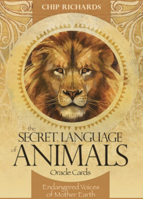 Secret Language of Animals Oracle Cards
