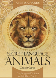 Secret Language of Animals Oracle Cards