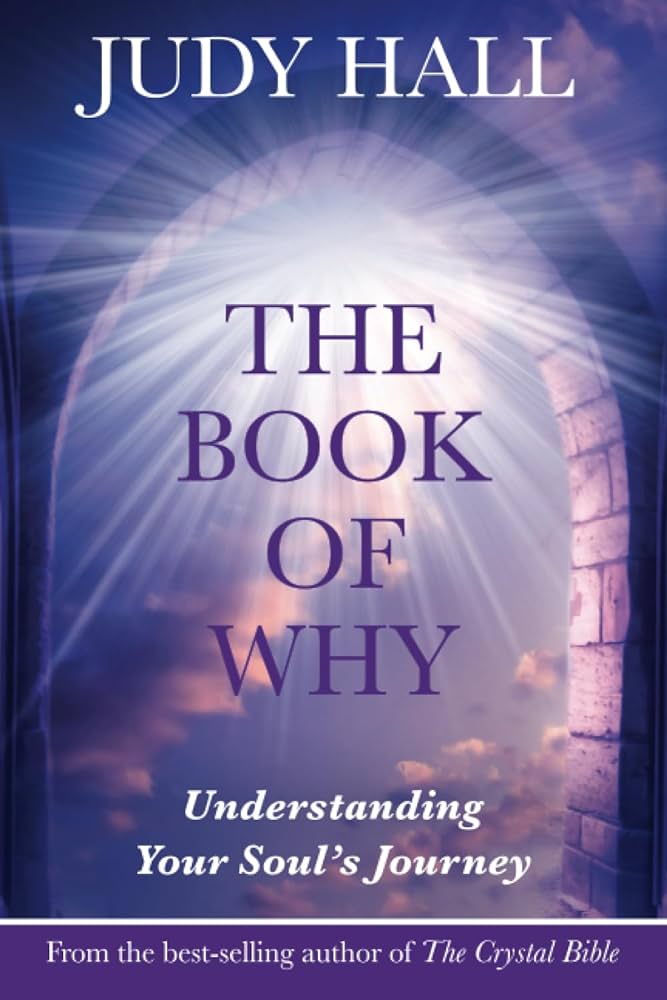 The Book Of Why - Lighten Up Shop