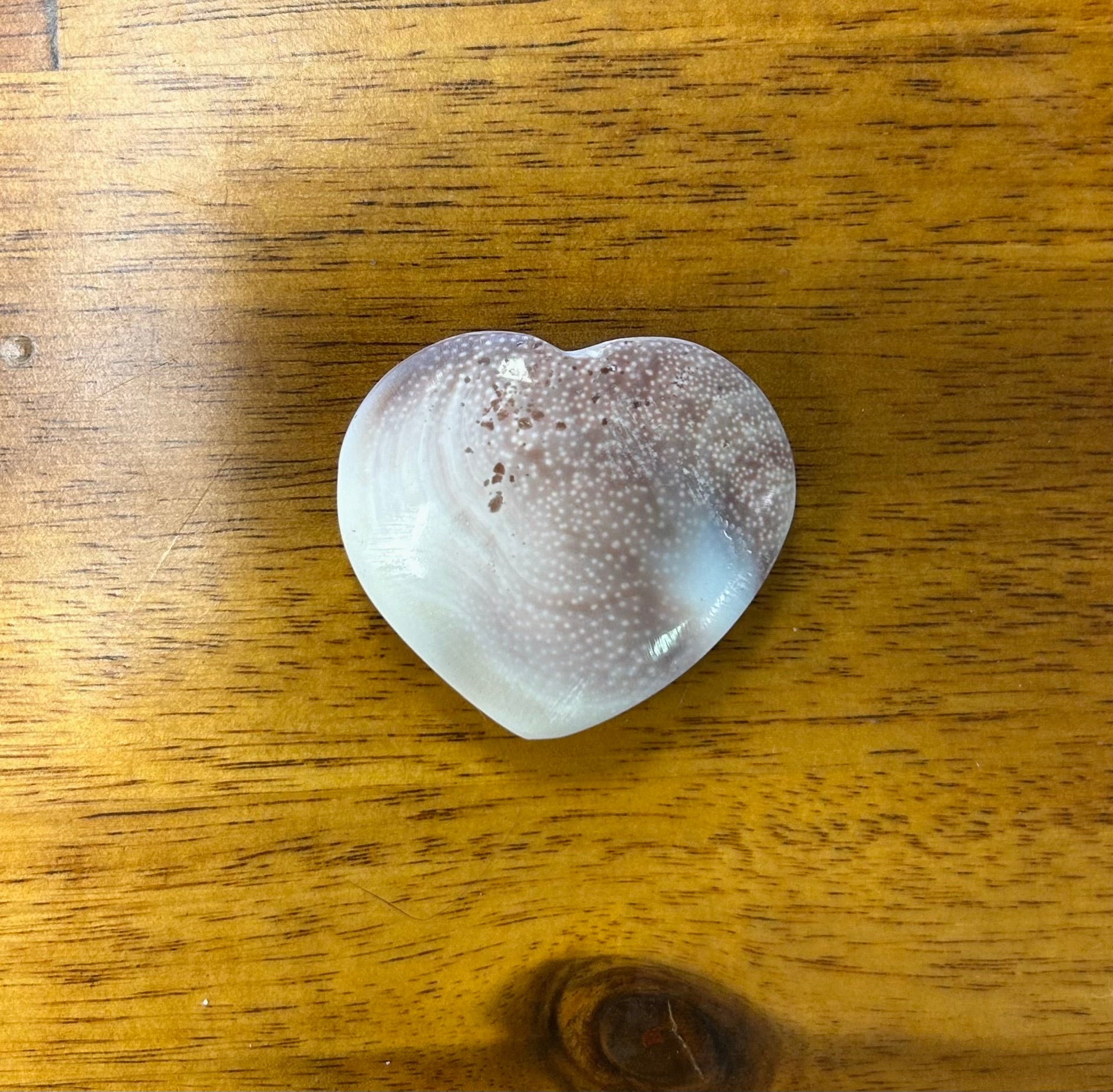 Shell Heart - Lighten Up Shop