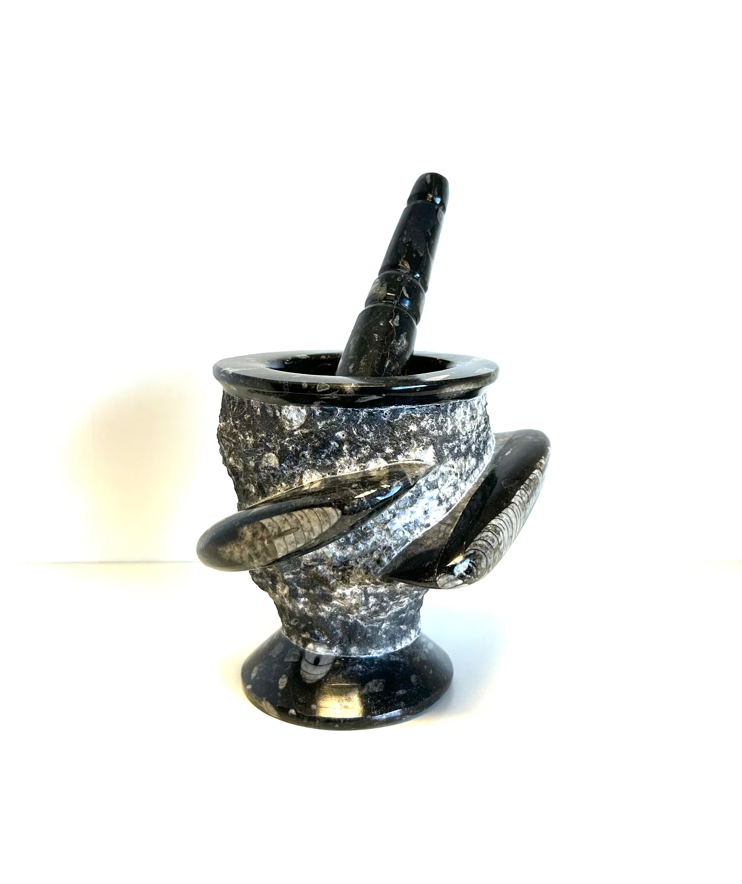 Mortar & Pestle - Orthoceras - Lighten Up Shop
