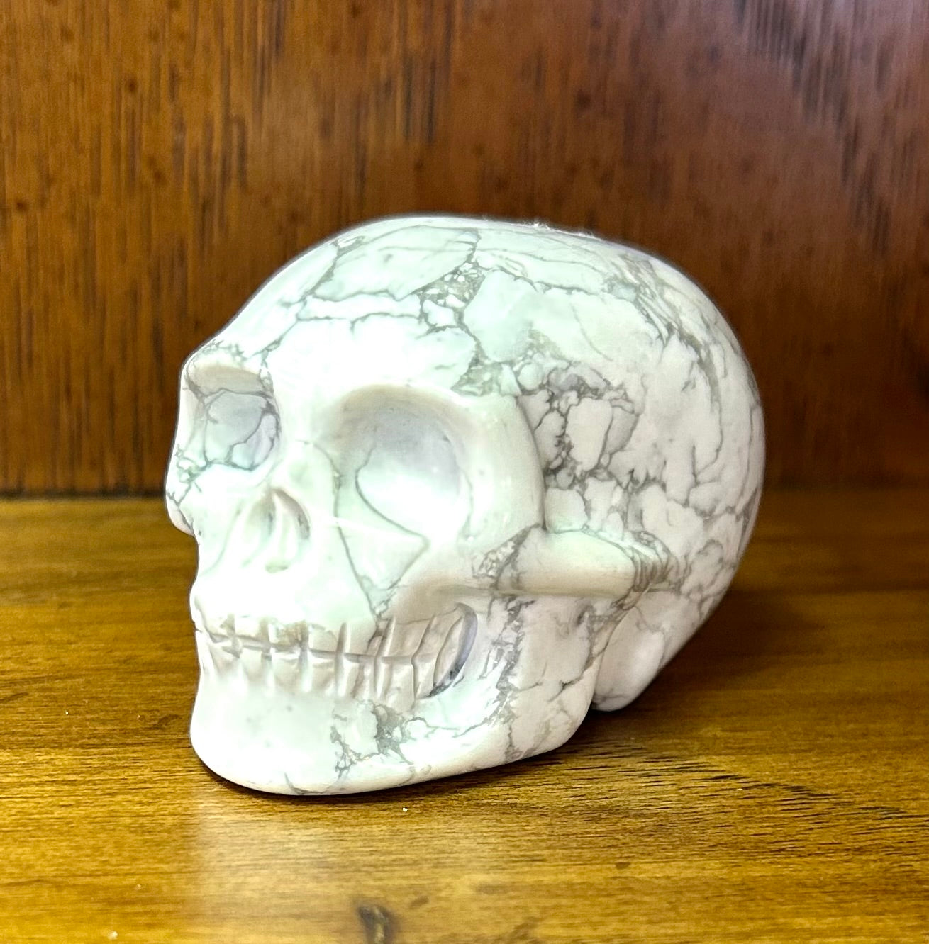 Howlite Skull - Lighten Up Shop