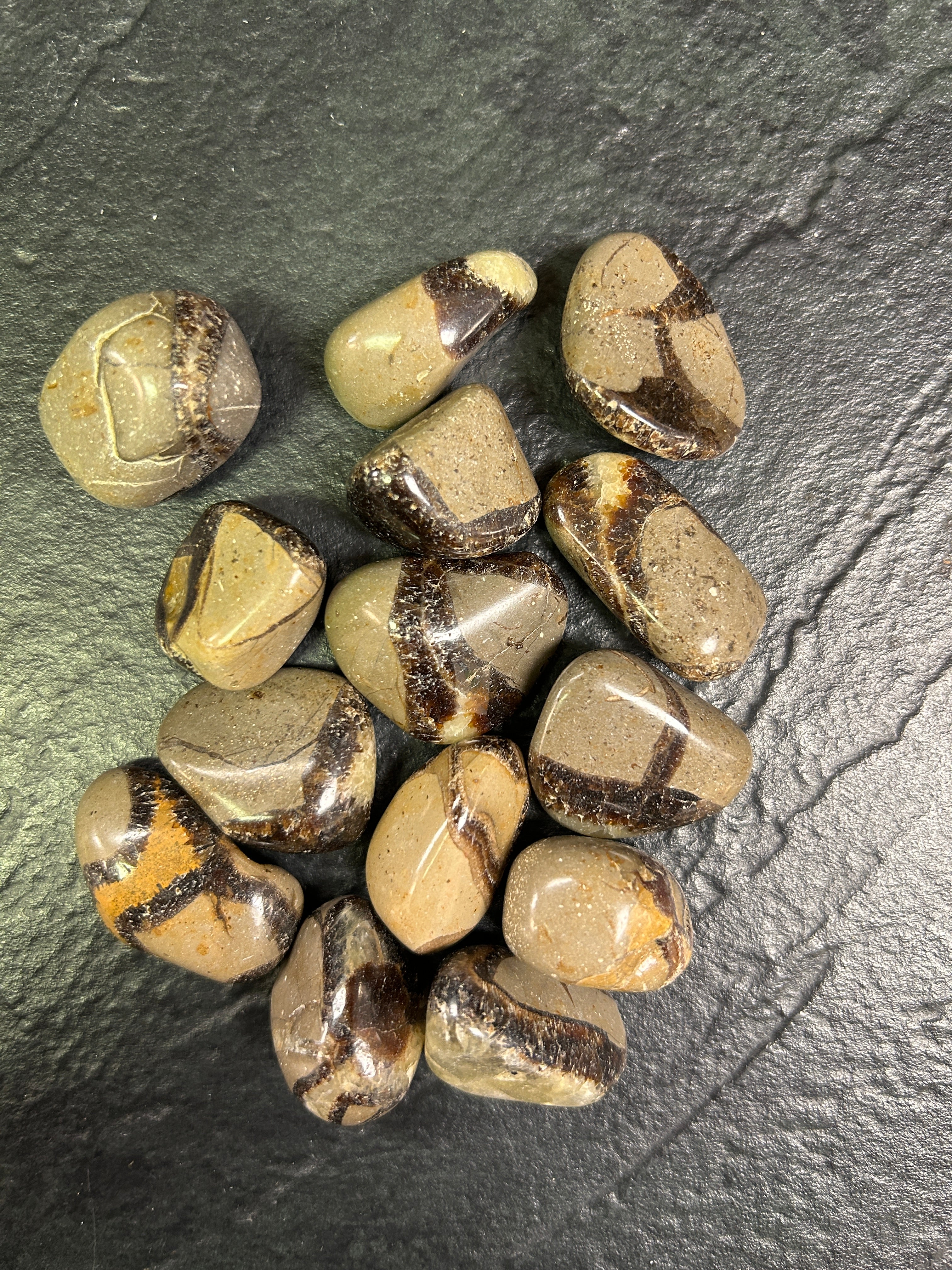 Septarian Loose Tumbled - Lighten Up Shop