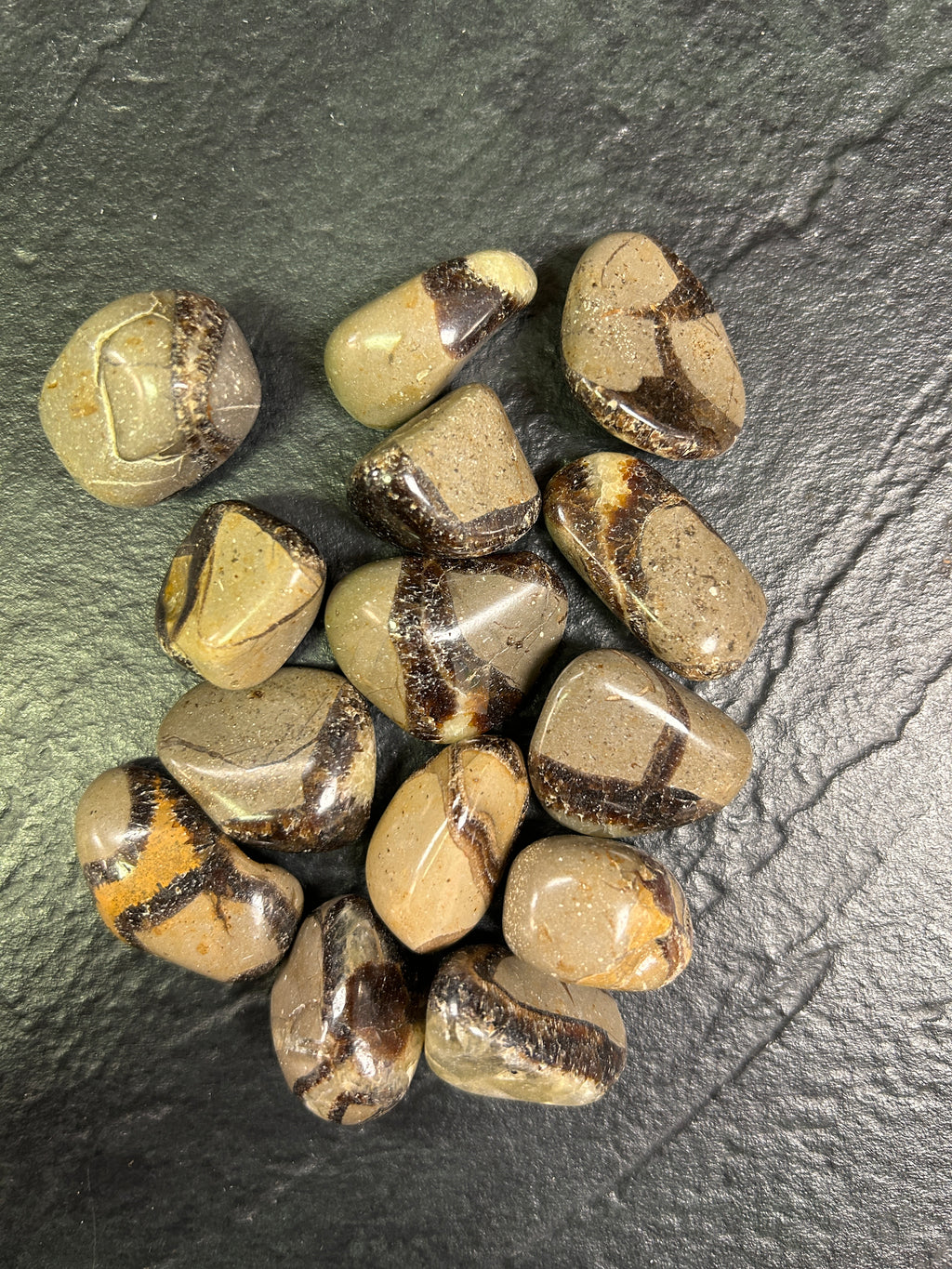 Septarian Loose Tumbled - Lighten Up Shop