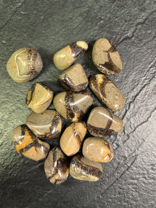 Septarian Loose Tumbled - Lighten Up Shop