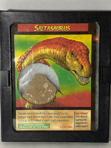 Saltasaurus Skin Fossil - Lighten Up Shop